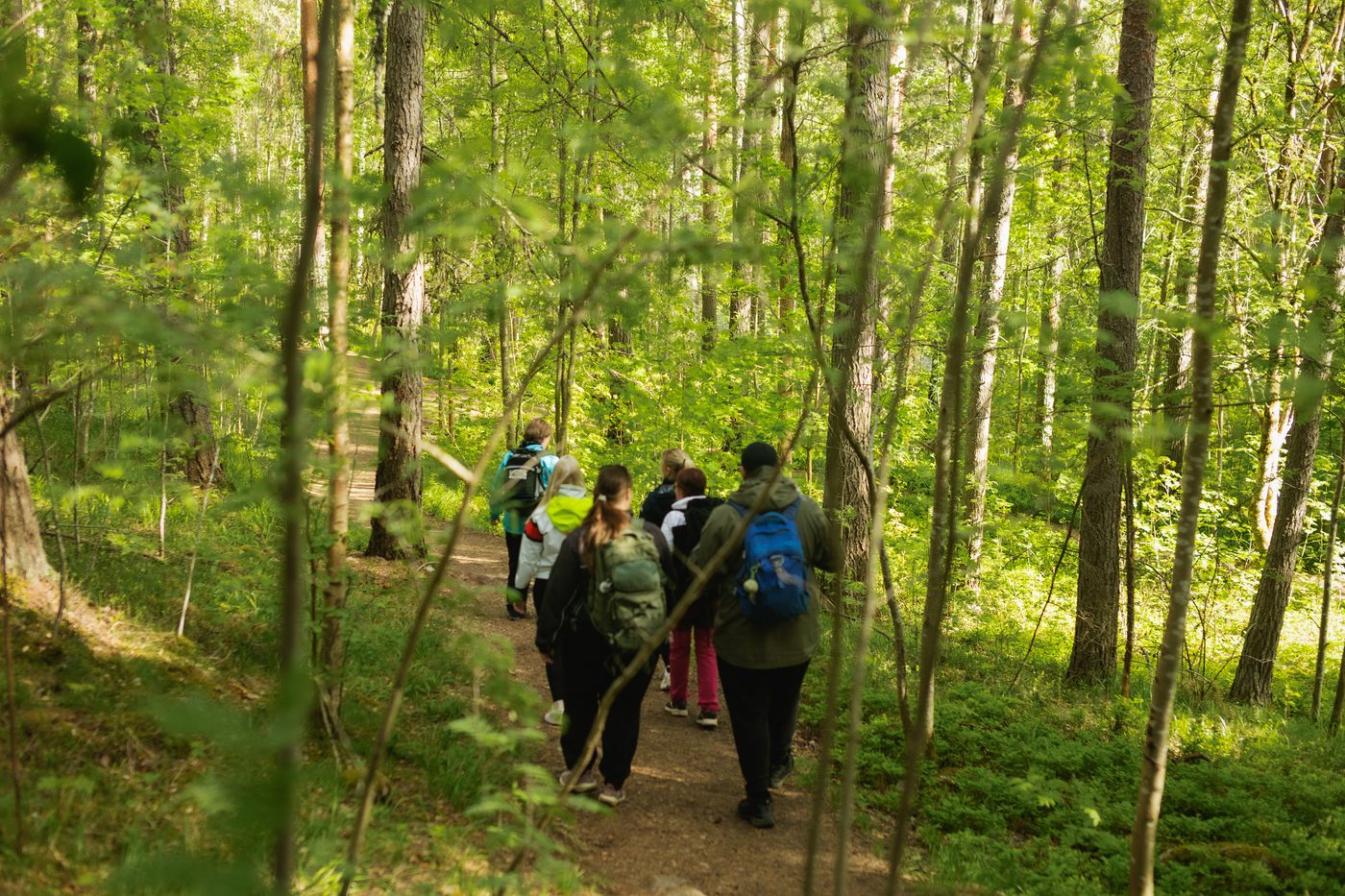 Ryhmä kävelee jonossa metsäpolkua pitkin kesäisessä lehtimetsässä
